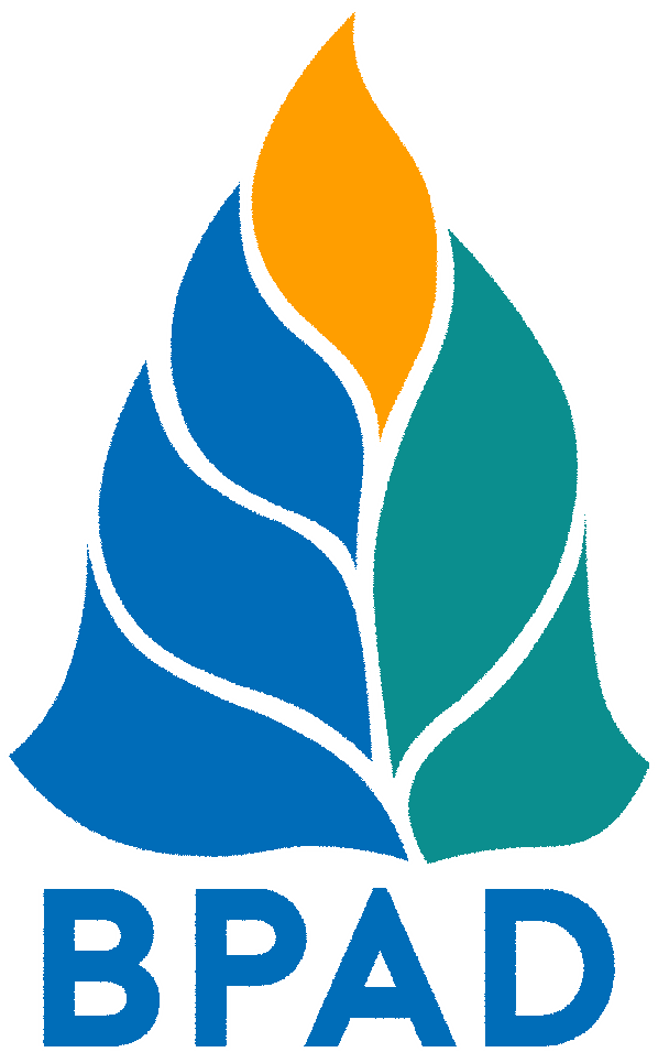 Logo Badan Pengelolaan Aset Daerah Provinsi DKI Jakarta